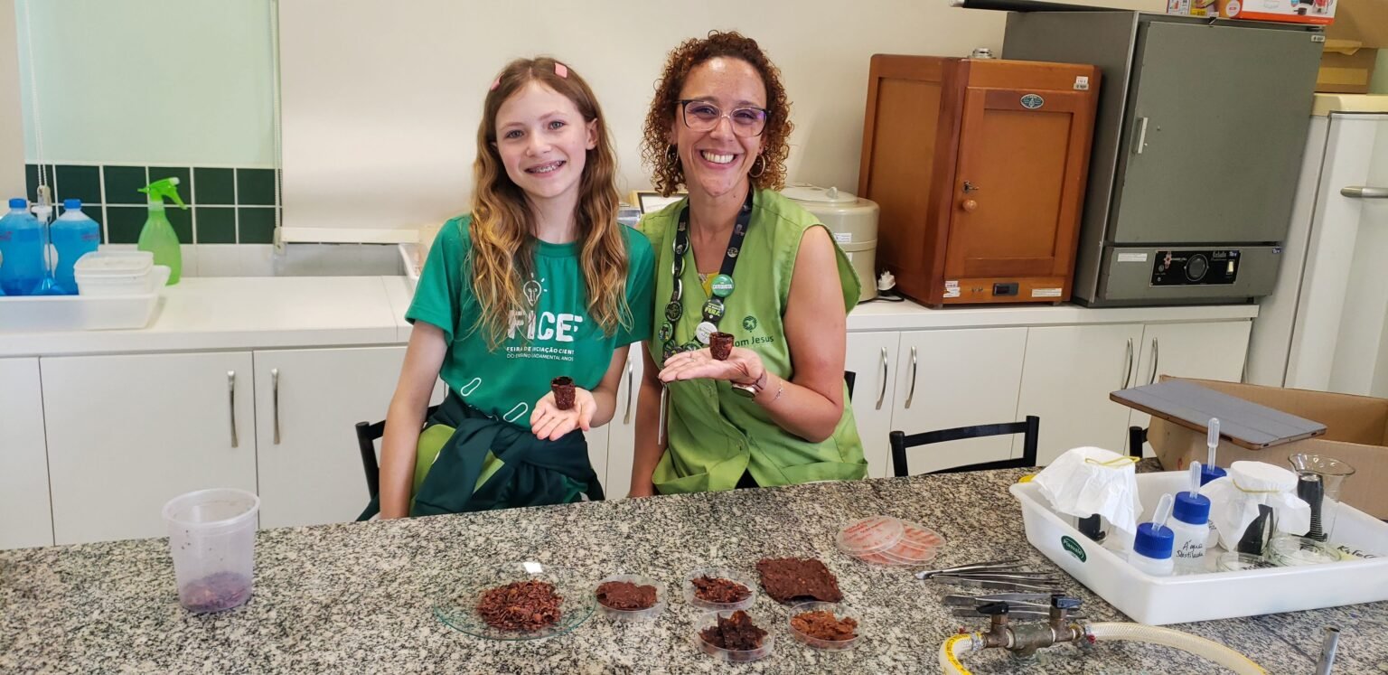 Estudante cria copo biodegradável com casca de pinhão