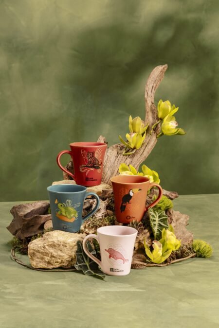 Oxford lança coleção de canecas em apoio à Amazônia