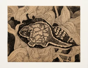 Mostra inédita reúne série Animais de Wanda Pimentel