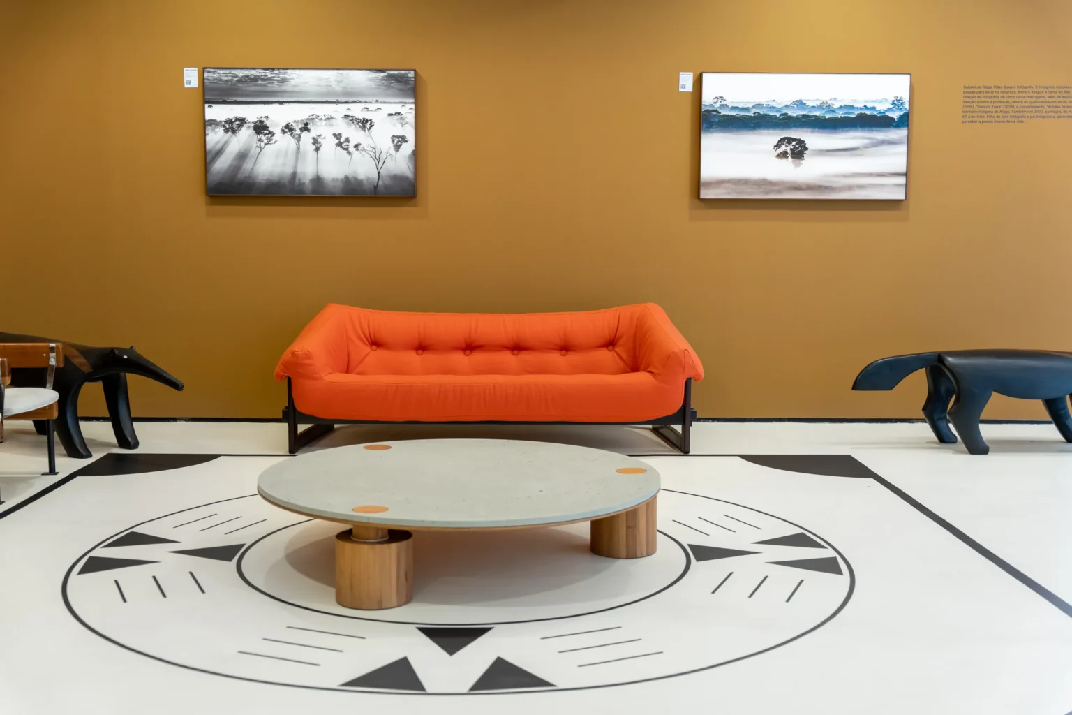 Amazônia Vida destaca força da arte e da natureza