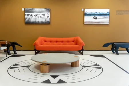 Amazônia Vida destaca força da arte e da natureza